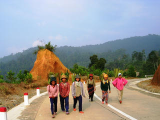 Tươi nắng Trường Sơn