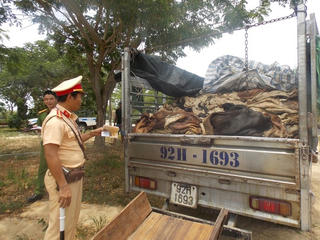 Bắt xe tải chở gần 4 tấn da trâu, bò bốc mùi hôi thối