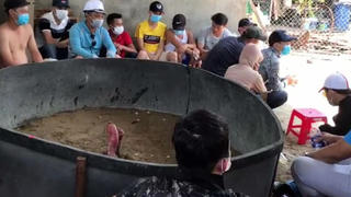 15 người  xem đá gà trong dịch Covid-19 bị phạt 225 triệu đồng