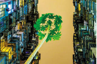 Đề án Xây dựng thương hiệu quốc gia lĩnh vực mỹ thuật, nhiếp ảnh: Băn khoăn tính khả thi