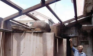 Lốc dữ hơn 10 phút, hàng trăm nhà dân bay sạch mái