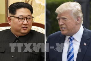 Hòa bình trong tầm tay