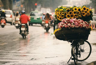 Việt Nam lọt top điểm đến năm 2016 của Lonely Planet