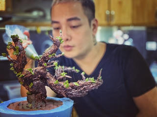 Tết 2019: Những chiếc bánh kem bơ tạo hình cây đào, mai hút khách