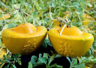 Sản phẩm độc, lạ, an toàn lên ngôi
