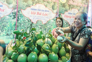 Đặc sắc lễ hội Thanh trà Huế 2018