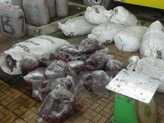 Xe tải chở hơn 2 tấn nội tạng không rõ nguồn gốc