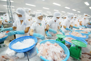 Tận dụng cơ hội xuất khẩu vào thị trường EU