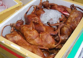 Ngăn chặn xe khách vận chuyển thực phẩm ‘không rõ nguồn gốc’