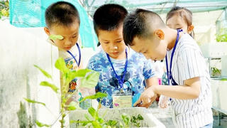 Thật khó có một mùa hè vui…