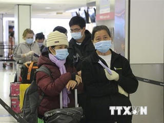 Đưa hơn 340 công dân Việt Nam từ Liên bang Nga về nước an toàn