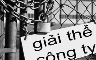 Kiên quyết cho phá sản DN thua lỗ kéo dài