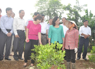 Hướng tới Đại hội MTTQ Việt Nam các cấp, nhiệm kỳ 2019-2024: Xây dựng nông thôn mới theo hướng bền vững