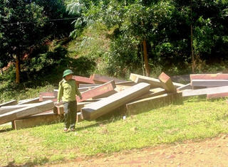 Kiểm lâm bị đánh nhập viện