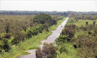 Phòng, chống cháy rừng mùa khô