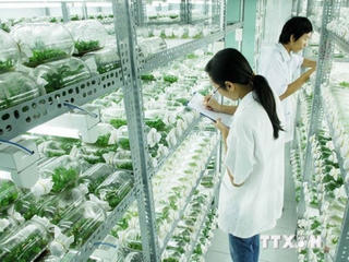 Khởi nghiệp  đang cần vốn