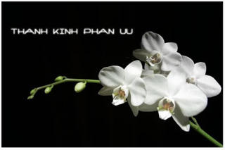 Tổ chức lễ tang nguyên Phó Chủ tịch Quốc hội Nguyễn Phúc Thanh với nghi thức cấp Nhà nước