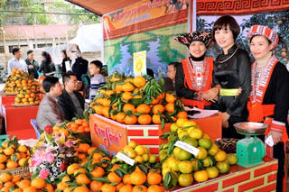 Tạo dựng thương hiệu hàng địa phương