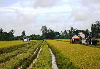Tăng cường sản xuất  vụ hè thu, vụ mùa