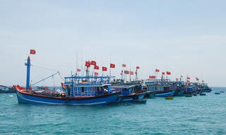 Quảng Ngãi: Hỗ trợ trên 30 tỷ đồng khai thác hải sản xa khơi