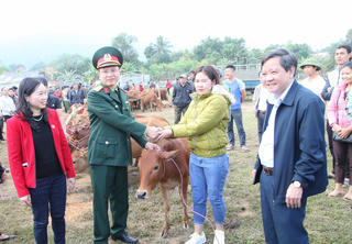 Thanh Hoá: Trao tặng 60 bò giống sinh sản cho hộ nghèo huyện Bá Thước