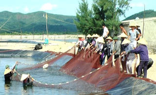 Xúc tiến thương mại, công nghệ và thu hút vốn phát triển hợp tác xã