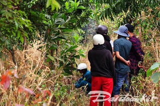 Đắk Lắk: phát hiện thi thể người đàn ông trong rẫy