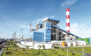 PPC bị xử phạt và truy thu thuế 