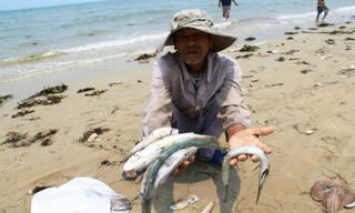 Nơi gian khó có người Mặt trận