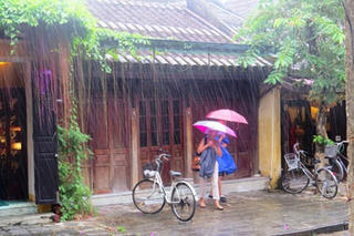Từ quan