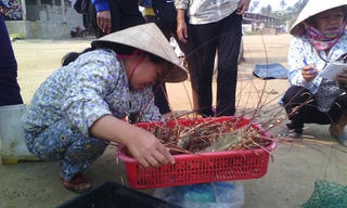 Tạo điều kiện hỗ trợ ngư dân hơn nữa