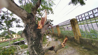 [ẢNH] Thái Bình: Một cơn dông cuốn bay tiền tỷ