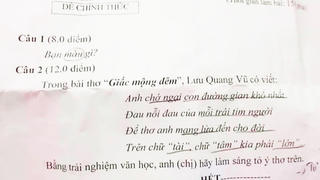 Từ đề thi học sinh giỏi môn Văn…