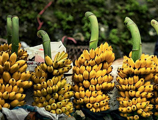 'Cây vàng' trên đất nghèo