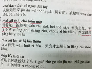 ‘Từ điển thành ngữ - tục ngữ Việt Hán’ nhiều sai sót
