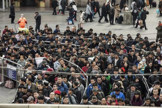 Nghịch cảnh lên thành phố lập nghiệp