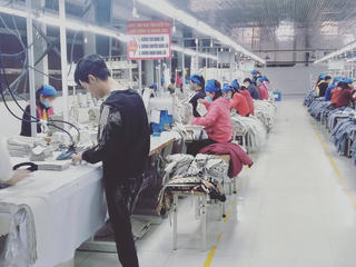 31% BHXH tỉnh, thành phố đã thực hiện kiểm tra, đối chiếu dữ liệu với cơ quan thuế