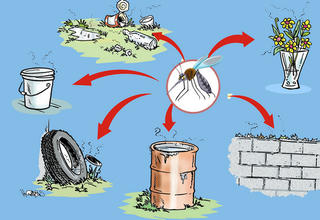 Mùa mưa sốt xuất huyết gia tăng 