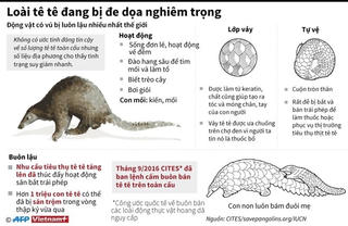 [Infographics] Loài động vật có vú bị buôn lậu nhiều nhất thế giới