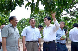 Chủ tịch nước Trương Tấn Sang thăm và làm việc tại Khánh Hòa