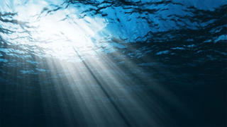 Robot tự động phân tích vi sinh vật trong đại dương 