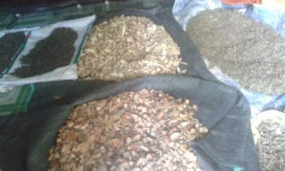 Phát hiện cơ sở hành nghề thuốc nam hoạt động ‘chui’