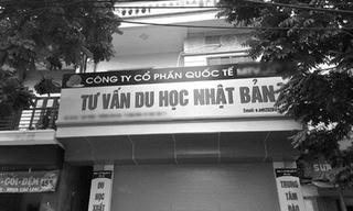 Ninh Bình đình chỉ 4 tổ chức tư vấn du học