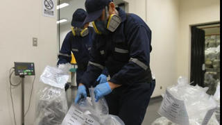 Nửa tấn cocaine giấu trong container chở cá đông lạnh