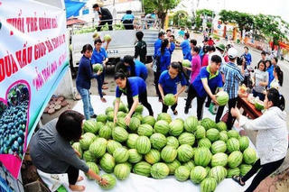 Chật vật hàng nội