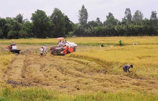 Châu Thành (Sóc Trăng) thực hiện nhiều mô hình phát triển kinh tế góp phần giảm nghèo