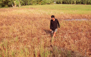 Hạn mặn bủa vây đất Chín Rồng