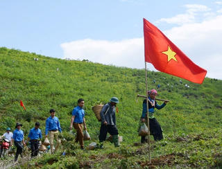Ra quân trồng 100 ha chè Shan tuyết tại xã Phình Hồ, huyện Trạm Tấu