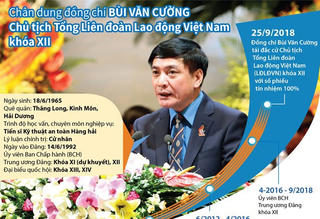 [Infographics] Chân dung Chủ tịch Tổng Liên đoàn Lao động Việt Nam Bùi Văn Cường
