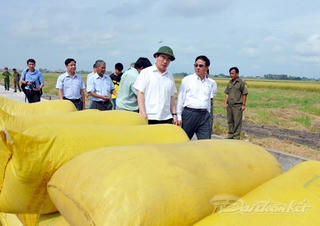 Chủ tịch Nguyễn Thiện Nhân: Nếu 'tác chiến' độc lập hàng triệu hộ chăn nuôi khó tồn tại